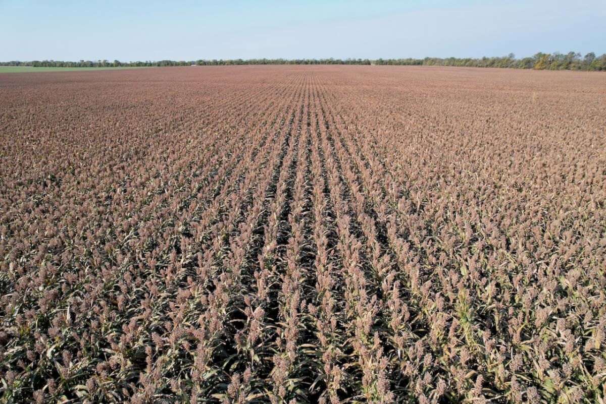 80+ Acres McPherson County Kansas Tillable Farm Ground For Sale