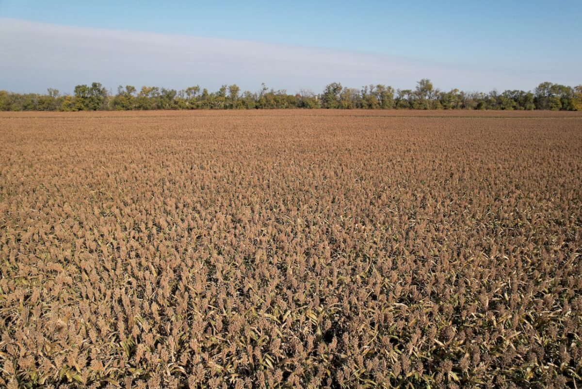 80+ Acres McPherson County Kansas Tillable Farm Ground For Sale