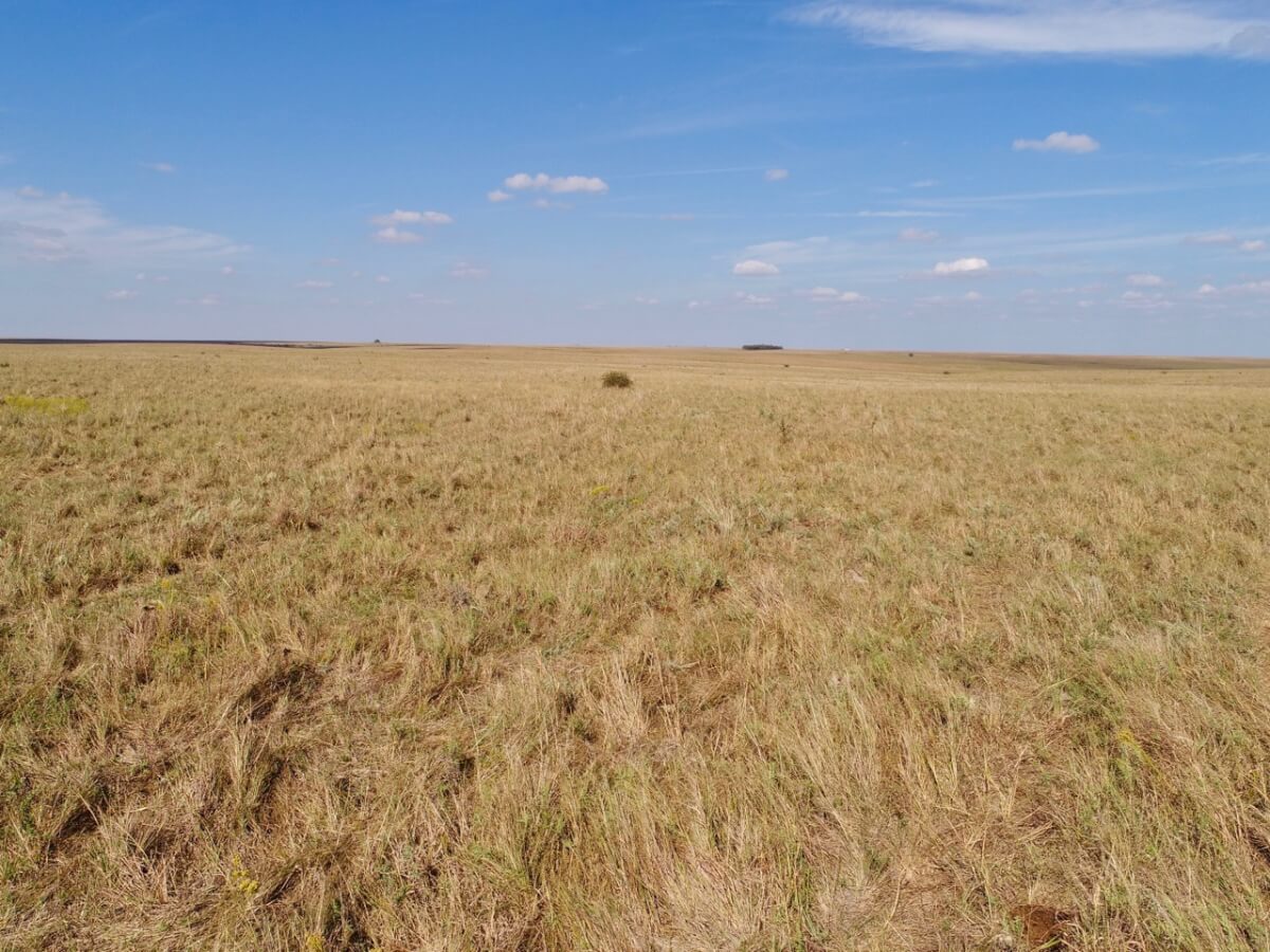 Marion County Kansas Land For Sale Near Burns Sundgren Realty Inc