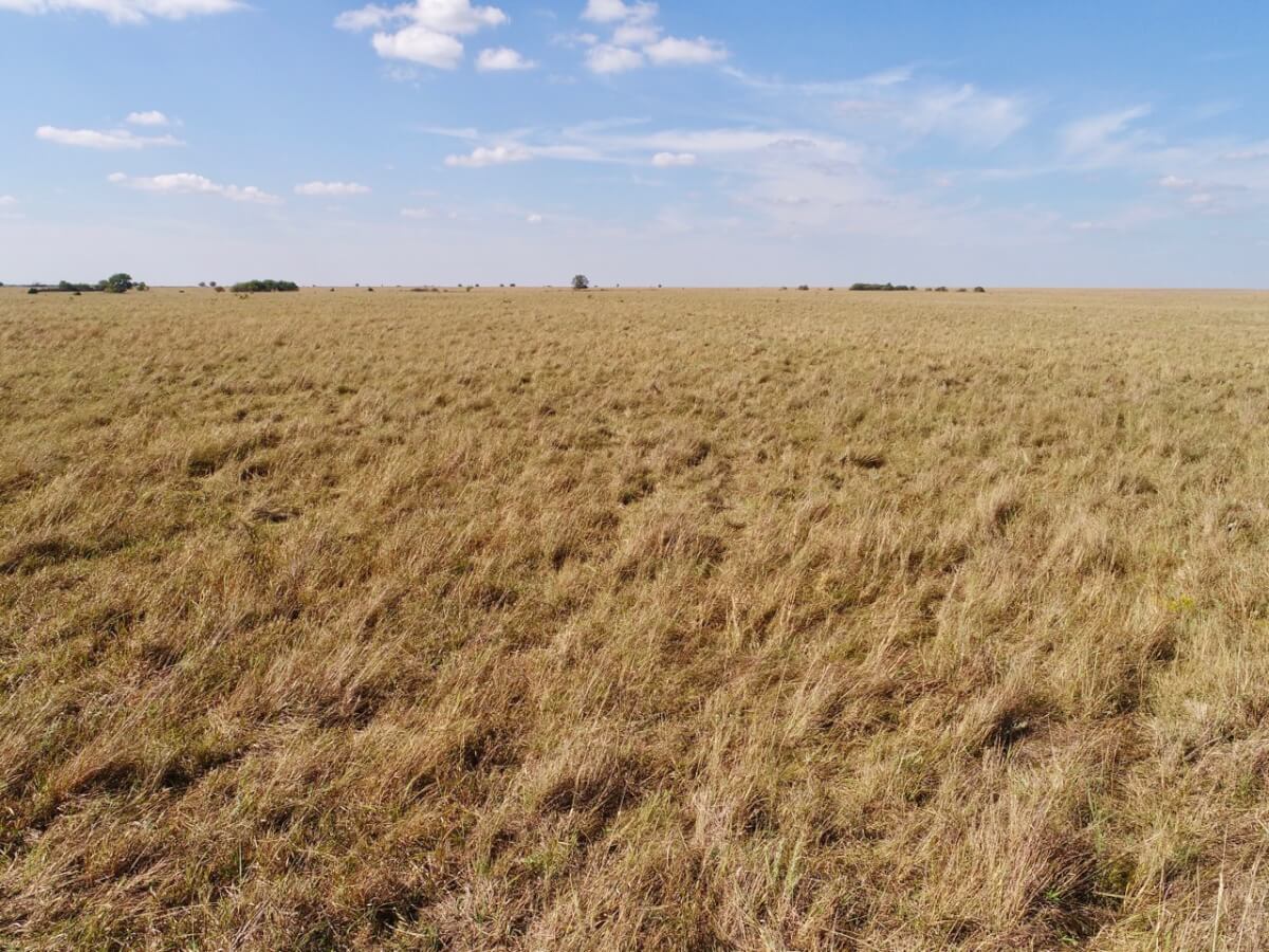 Marion County Kansas Land For Sale Near Burns Sundgren Realty Inc