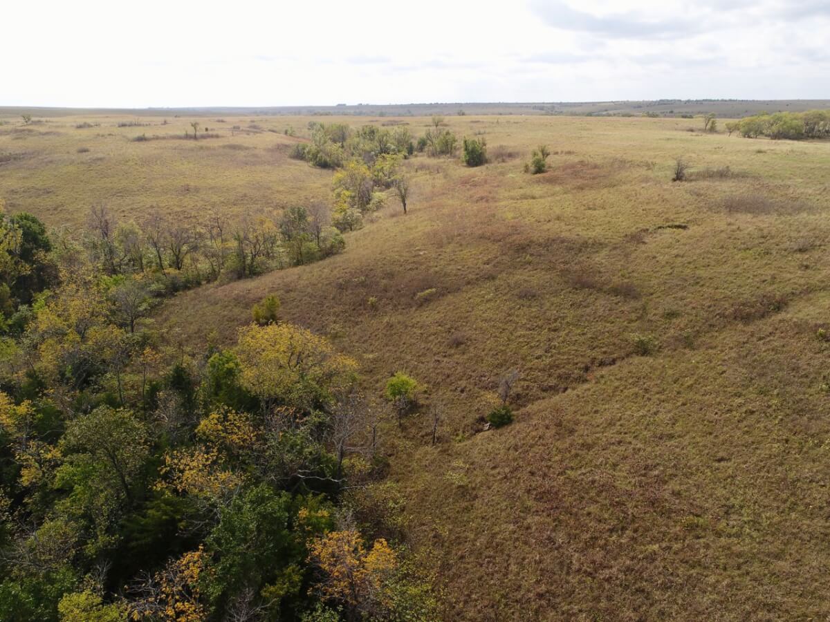 Greenwood County Kansas Pasture & Hunting Land For Sale Sundgren
