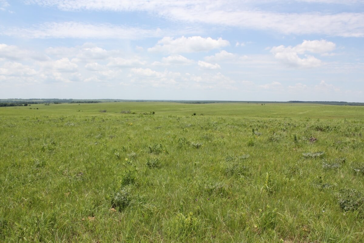 Elk County Kansas Cattle Ranch For Sale Sundgren Realty Inc