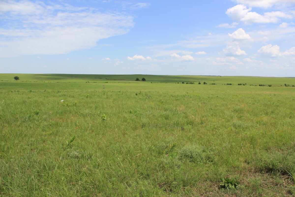Elk County Kansas Cattle Ranch For Sale Sundgren Realty Inc