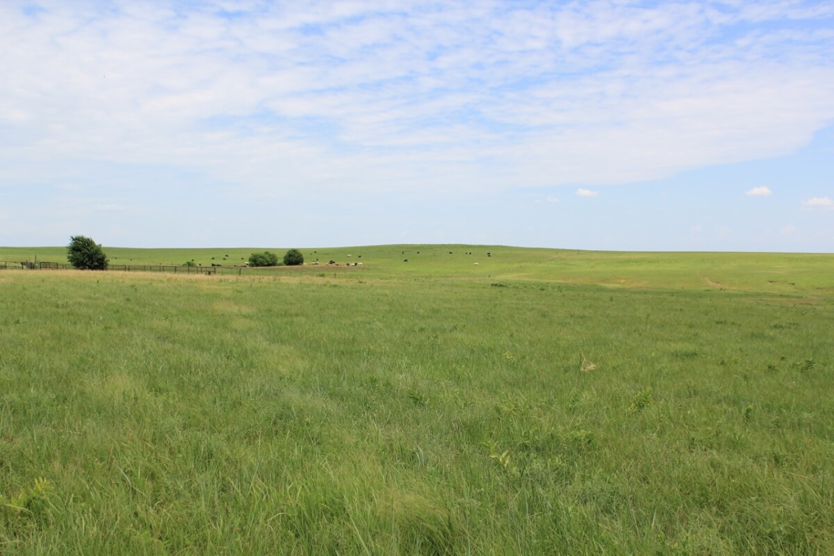 Elk County Kansas Cattle Ranch For Sale Sundgren Realty Inc